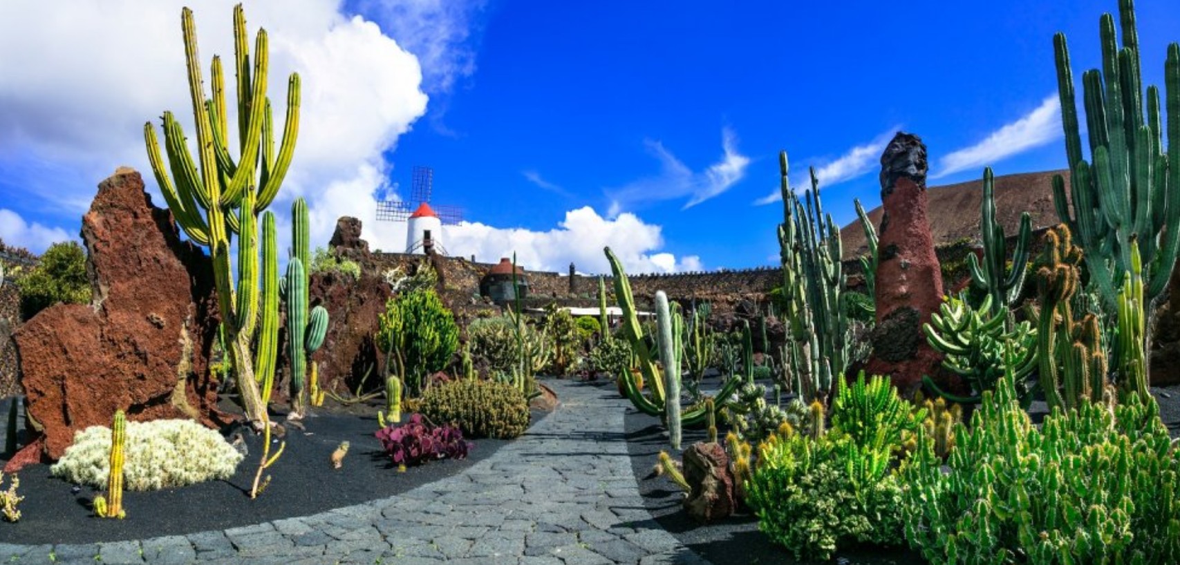 Ruta norte premium - Lanzarote